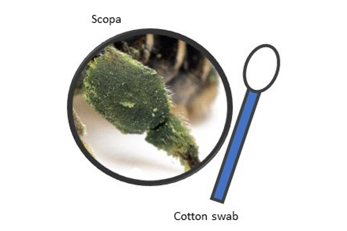 Fig2