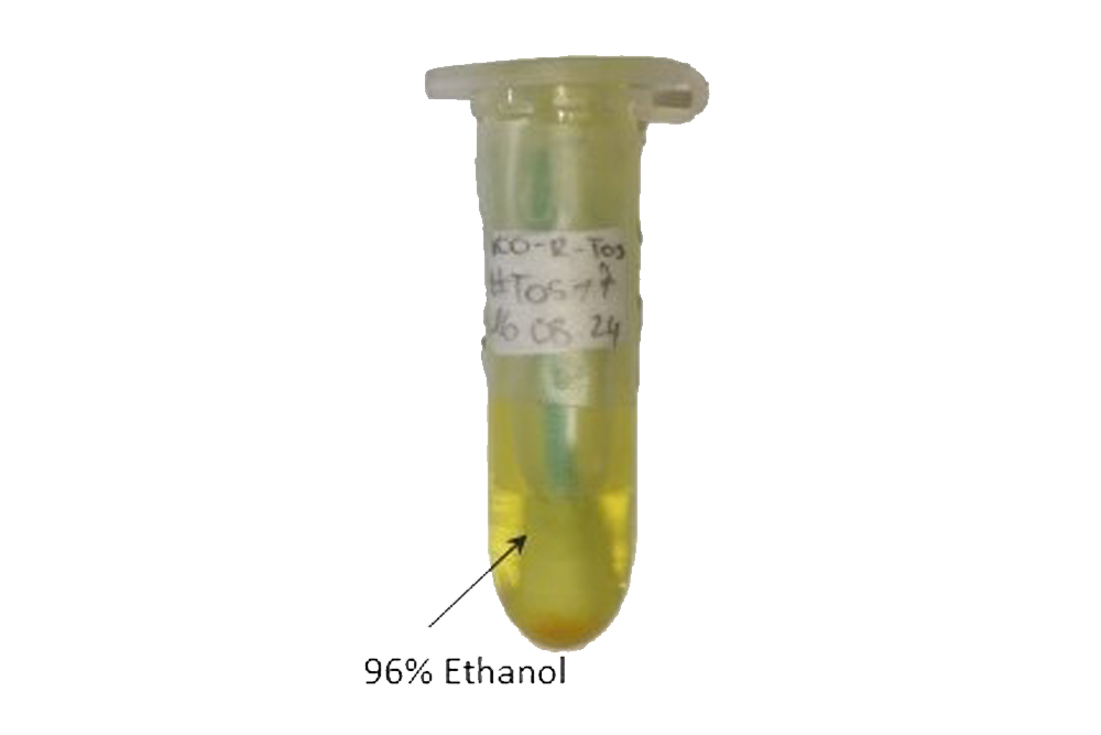 fig3