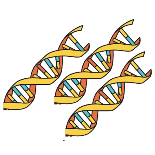 DNA