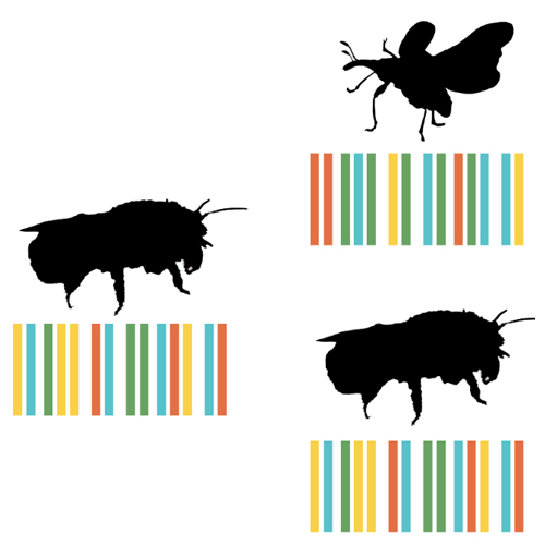 Sequencing